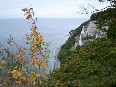 Holiday house "Schlossblick". - Environment photo 37