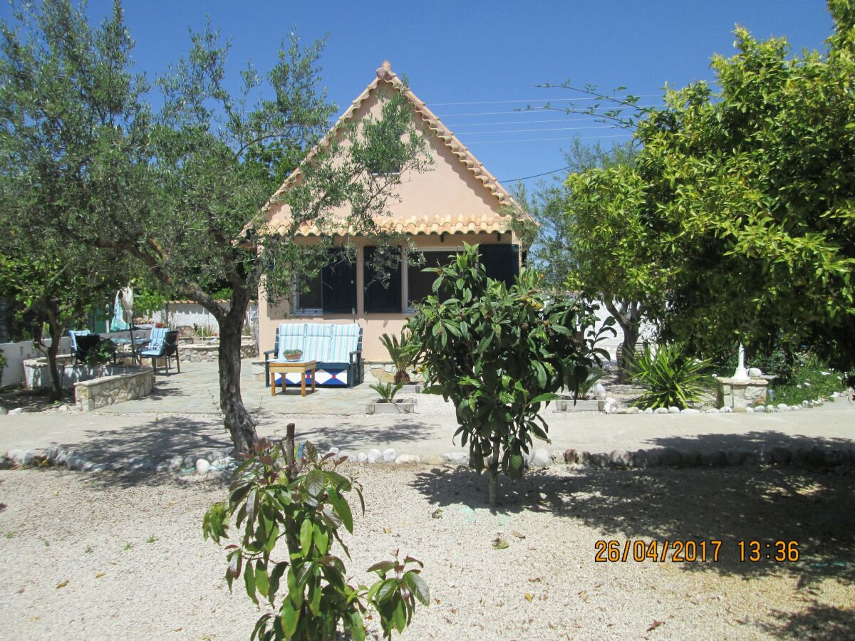 Holiday house Spacious chalet on a plot of 4000m2 with fruit trees near the beach in Messinia