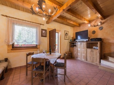 Holiday house Ferienhaus in Brod Moravice mit Pool - Features photo 17