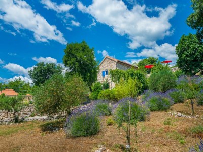 Holiday house Villa in Crikvenica with Private Pool - Outdoor photo 4