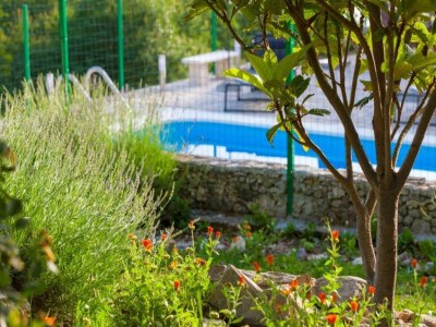 Villa Villa in Tučepi mit Pool nahe Strand - Outdoor photo 39