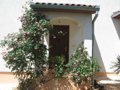 Holiday house Geräumiges Haus in Dalmatien - Outdoor photo 9
