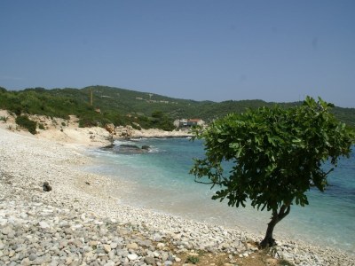 Apartment Coastal apartment in Vis near sea - Environment photo 33