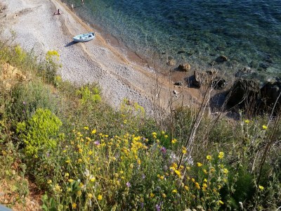 Apartment Coastal apartment in Vis near sea - Environment photo 39