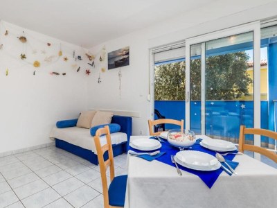 Apartment Seaside Bliss in Mandre - Features photo 20