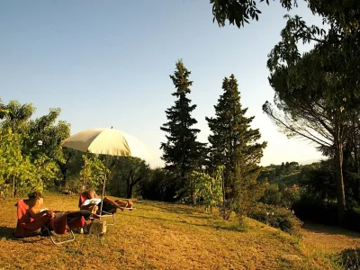 Holiday house between Florence and Lucca - Environment photo 19