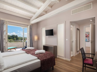 Villa Istria Nuova 5-star Luxury Concept 34 people - Features photo 25