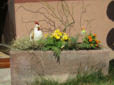 Holiday apartment Maison Oberlin - Outdoor photo 7