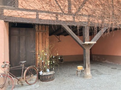 Holiday apartment Maison Oberlin - Outdoor photo 8