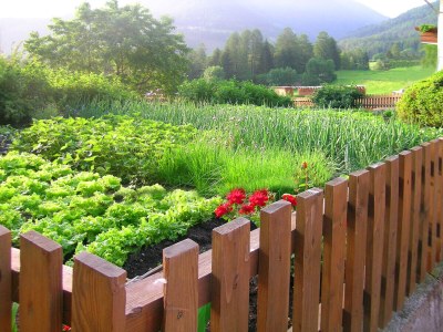 Holiday apartment Fichtentraum - Environment photo 22