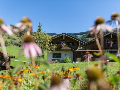 Chalet Living room - Environment photo 20