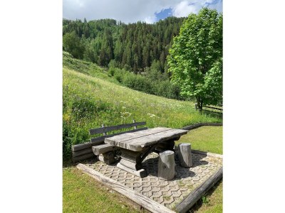 Cottage Rustico / Pütschai alpine hut - Features photo 33