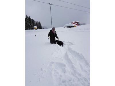 Holiday apartment Zur urigen Kiefer - Outdoor photo 22