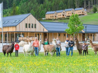 Apartment Chalet Ankogel - Outdoor photo 31