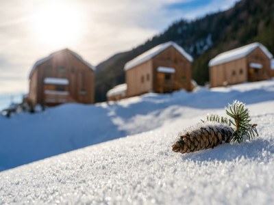 Apartment Chalet Ankogel - Features photo 61
