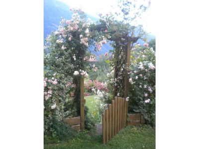 Apartment Ferienwohnung Anna - Outdoor photo 23