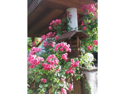 Apartment Ferienwohnung Anna - Outdoor photo 35