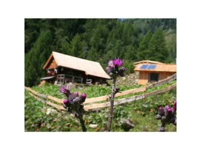 Apartment Berghütte Ploatschtrattn in Penk, Mölltal - Apartment