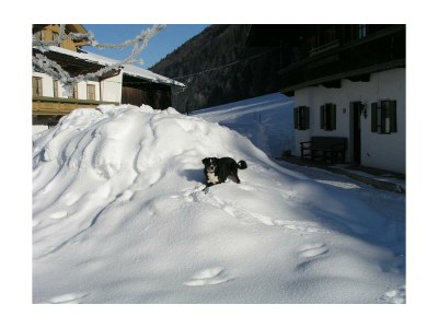 Apartment Ap."Feldberg" -1 Schlafzi/Du/WC,TV,Tel - Outdoor photo 16