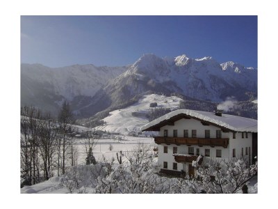 Apartment Apartm."E"/Wohn-Schlafraum/Dusche, WC in Walchsee - Apartment