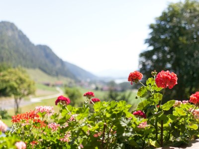 Apartment Apartm."E"/Wohn-Schlafraum/Dusche, WC - Outdoor photo 9