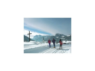 Holiday room Panoramazimmer "Wilder Kaiser"- Du/WC,TV,Tel,Blk - Outdoor photo 7