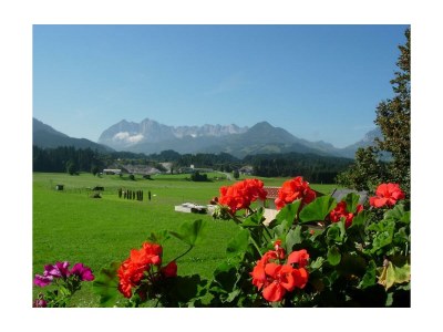 Apartment Apartment "Kaiserblick" /1 Schlafraum/Dusche, WC - Features photo 21