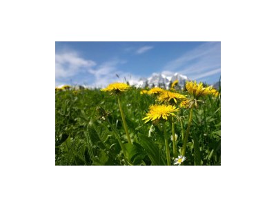 Apartment Appartement/Fewo, Toilette und Bad/Dusche getrennt - Outdoor photo 14