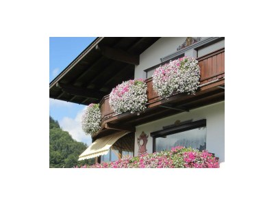 Holiday room DZ "Typ2 K2" -Dusche, WC,TV - Outdoor photo 11