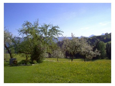 Apartment Apartment Rudersburg Nr.3 - 1 Schlafraum/Dusche/WC,T - Outdoor photo 8