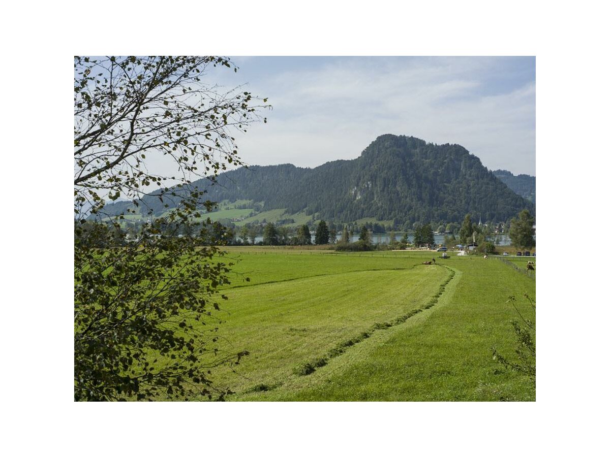 Apartment App."1" - 1 Schlafraum/Bad, WC,Balkon - Outdoor photo 4