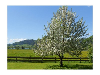 Apartment App."2" -1 Schlafraum/DU,WC,Balkon - Outdoor photo 6