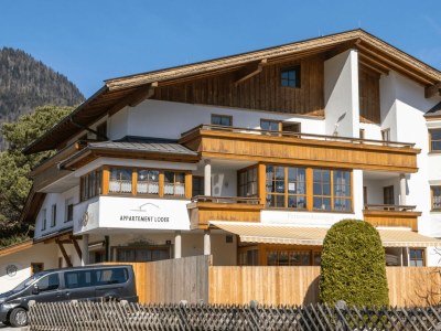 Apartment App."Wilder Kaiser"/1 Schlafraum/Du/WC - Features photo 21