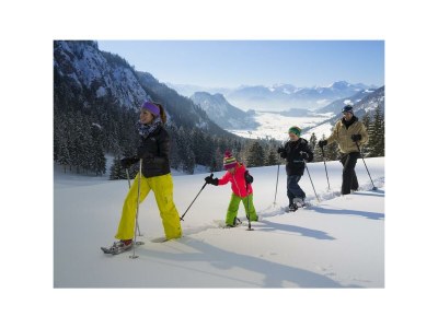 Apartment App."Geiglstein"/1 Schlafraum/Dusche, WC in Walchsee - Apartment