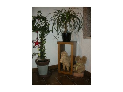 Holiday room Doppelzimmer mit Wohnecke, Du/WC,TV,Balkon - Features photo 11