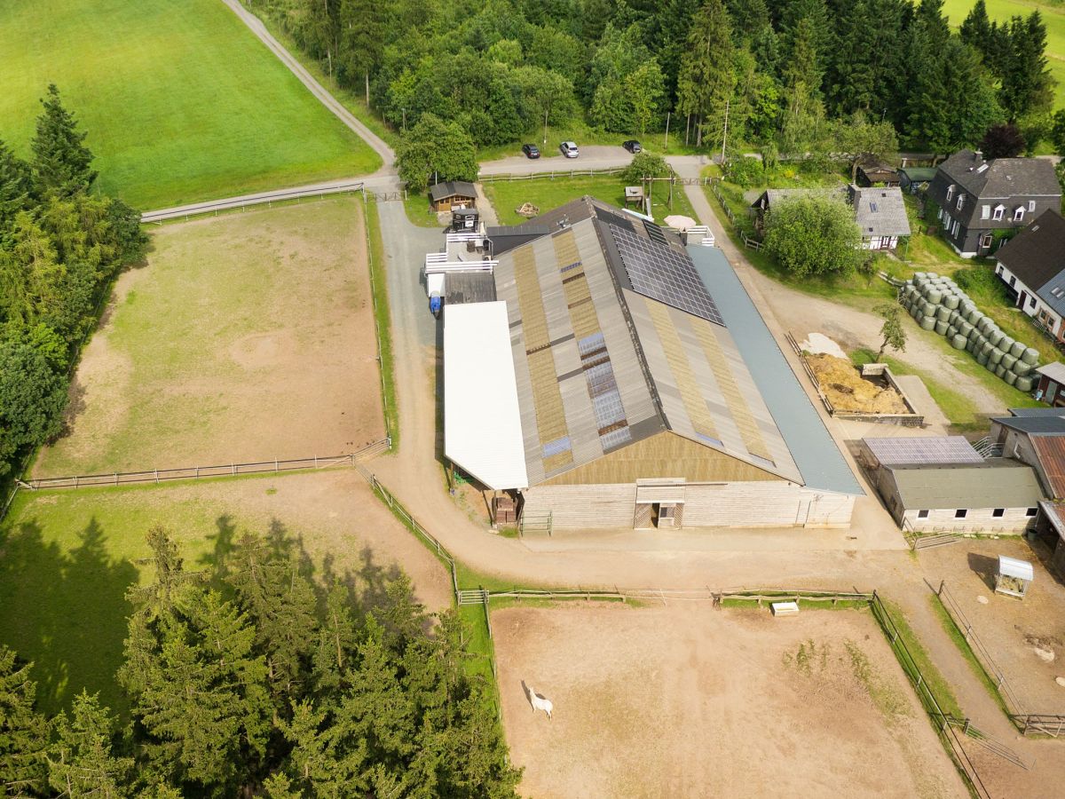 Holiday apartment - horse-back riding and vacation park "Tannenhof"