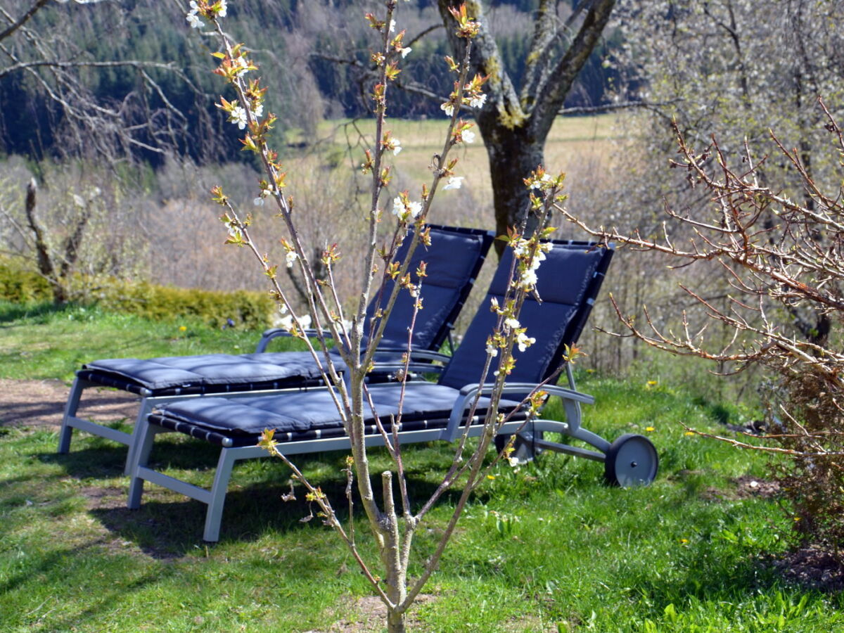 Holiday apartment Landhaus Grimburg - Outdoor photo 5