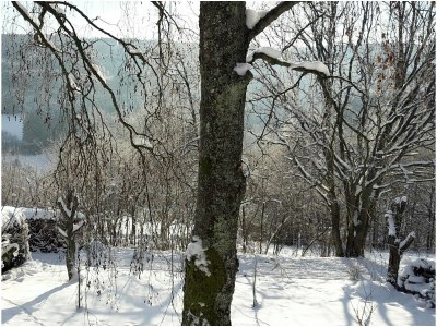 Holiday apartment Landhaus Grimburg - Outdoor photo 6
