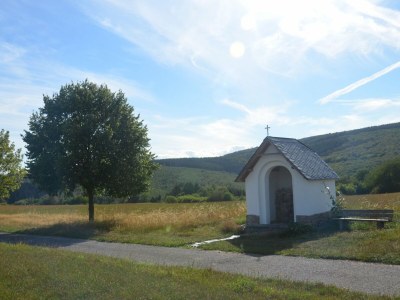 Holiday apartment Landhaus Grimburg - Environment photo 31