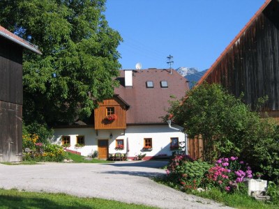 Apartment "Studio Georg"/1 Schlafraum/DU/WC in Roßleithen - Apartment