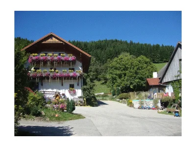Apartment Apartment "Kleine Familie" in Vorderstoder - Apartment