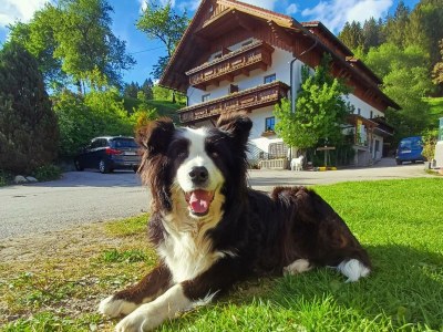 Apartment Apartment "Kleine Familie" - Outdoor photo 48