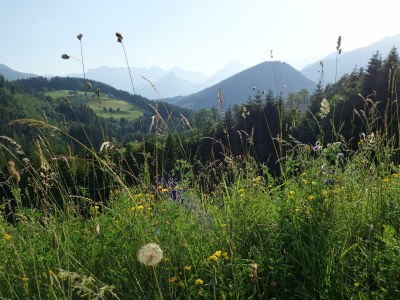 Apartment Apartement "Familie mit Bergblick" - Outdoor photo 3