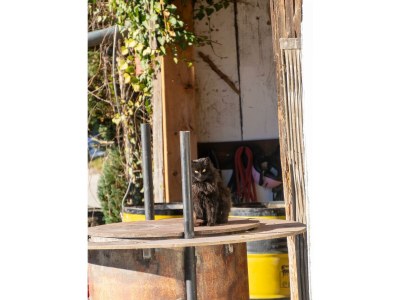 Apartment Apartement "Familie mit Bergblick" - Outdoor photo 25