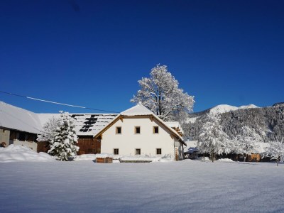Apartment XXL Ferienwohnung - Outdoor photo 22