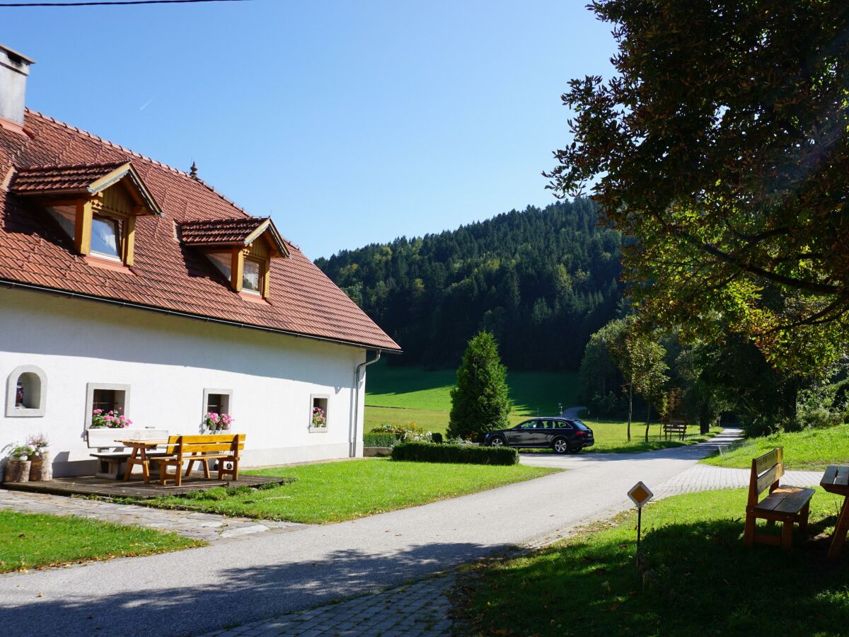 Apartment XL Ferienwohnung