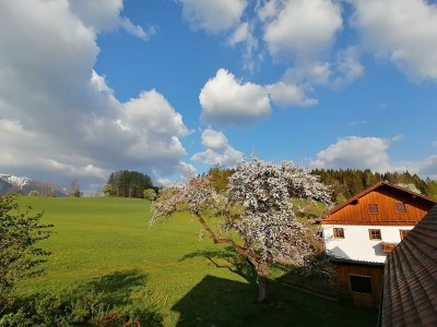 Apartment FEWO I "Morgenrot"/2 Schlafräume/Du/WC - Outdoor photo 44