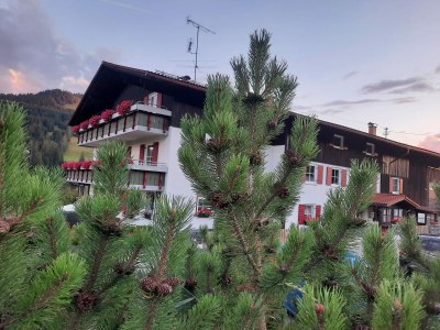 Holiday apartment Sorgschrofen- LÃ¤rchenhof Jungholz in Jungholz - Holiday apartment