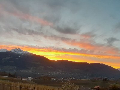 Holiday apartment Apartment Laimer in Haslach - Outdoor photo 12