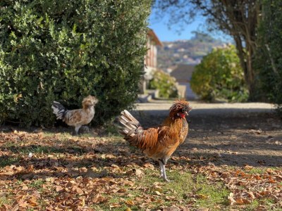 Farmhouse Casa da Fecha - Outdoor photo 13